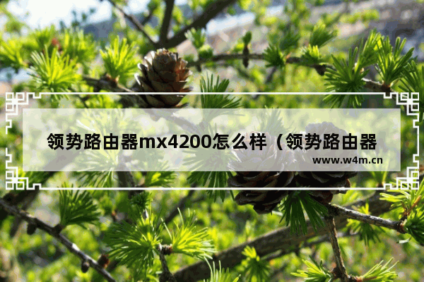 领势路由器mx4200怎么样（领势路由器好还是网件的好）