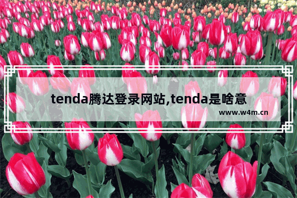 tenda腾达登录网站,tenda是啥意思