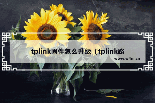 tplink固件怎么升级（tplink路由器固件恢复模式）