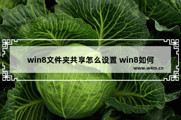 win8文件夹共享怎么设置 win8如何设置文件共享