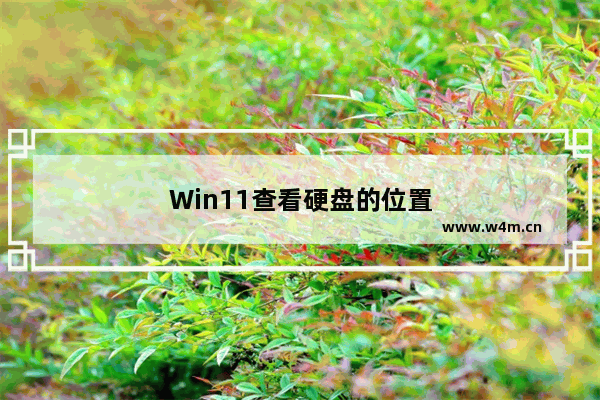 Win11查看硬盘的位置