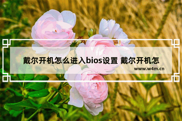 戴尔开机怎么进入bios设置 戴尔开机怎么进入bios界面