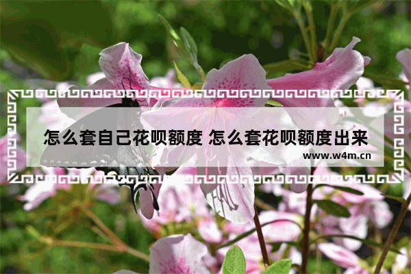 怎么套自己花呗额度 怎么套花呗额度出来