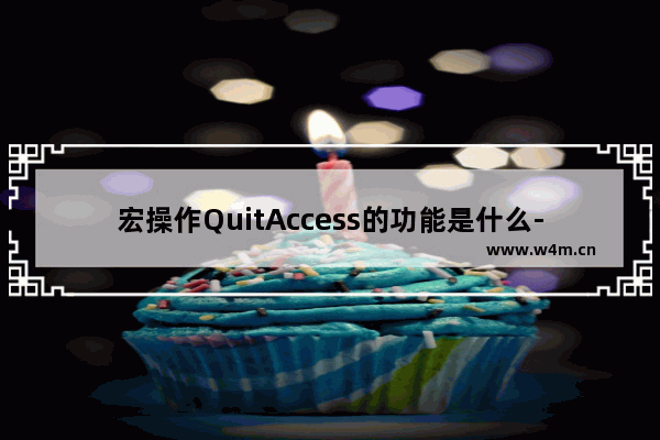 宏操作QuitAccess的功能是什么-