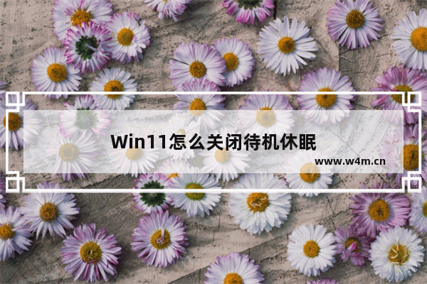 Win11怎么关闭待机休眠