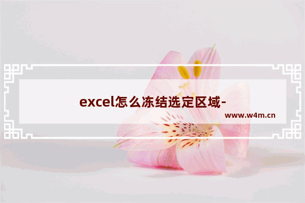 excel怎么冻结选定区域-