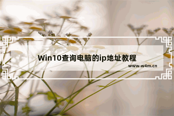 Win10查询电脑的ip地址教程