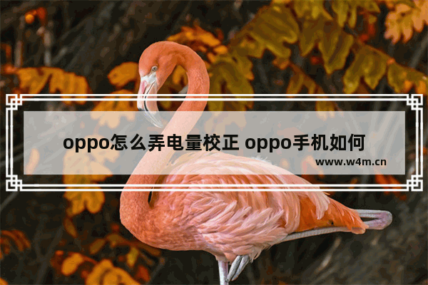 oppo怎么弄电量校正 oppo手机如何进行电量校准