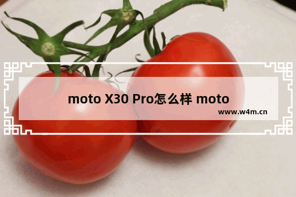 moto X30 Pro怎么样 moto X30 Pro上手体验-