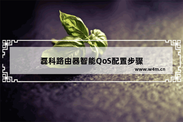 磊科路由器智能QoS配置步骤