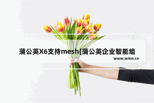 蒲公英X6支持mesh(蒲公英企业智能组网X6)