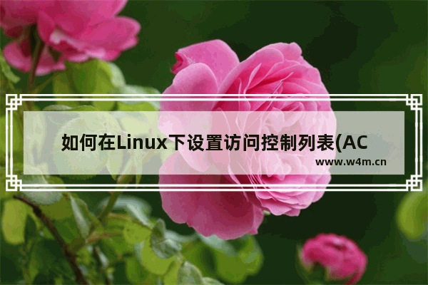 如何在Linux下设置访问控制列表(ACL)来控制用户的权限