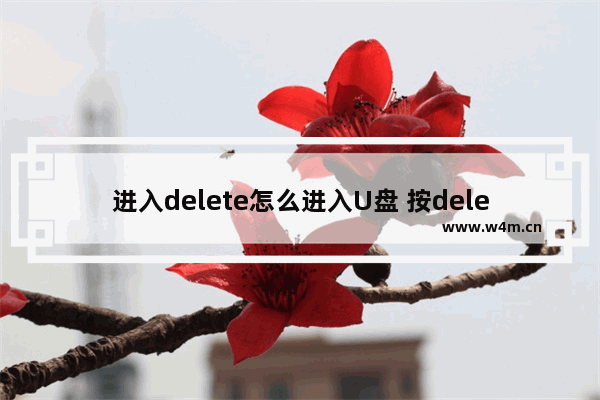 进入delete怎么进入U盘 按delete进入bios怎么设置usb启动