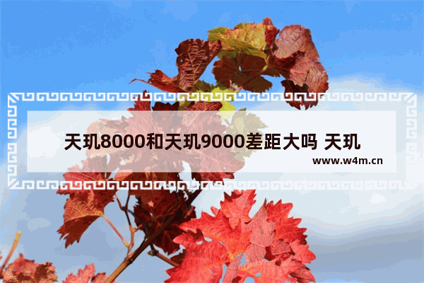 天玑8000和天玑9000差距大吗 天玑8000和天玑9000区别是什么