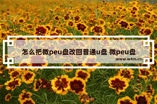 怎么把微peu盘改回普通u盘 微peu盘格式