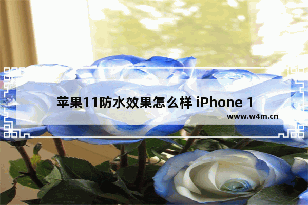 苹果11防水效果怎么样 iPhone 11防水性介绍