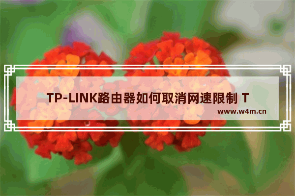 TP-LINK路由器如何取消网速限制 TP-LINK路由器取消网速限制方法【介绍】