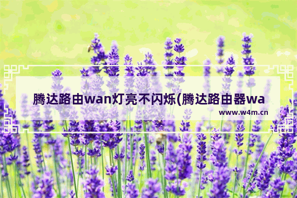 腾达路由wan灯亮不闪烁(腾达路由器wan口指示灯不亮的解决方法)