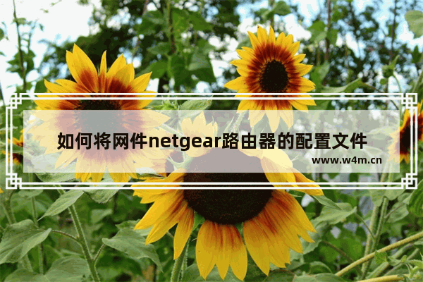 如何将网件netgear路由器的配置文件备份到电脑