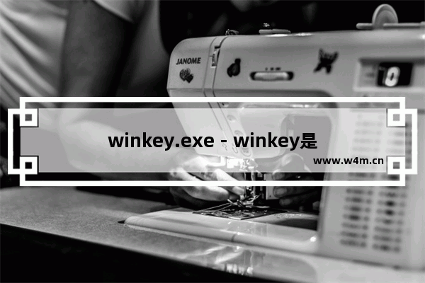 winkey.exe - winkey是什么进程