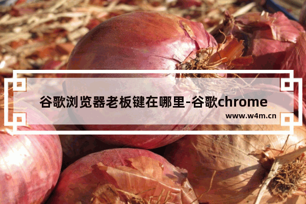 谷歌浏览器老板键在哪里-谷歌chrome添加老板键指南