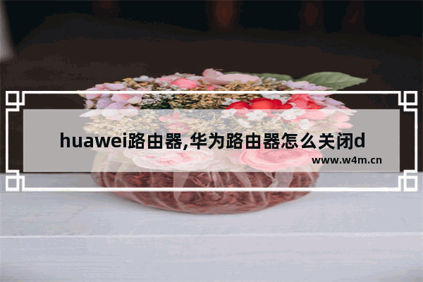 huawei路由器,华为路由器怎么关闭dhcp