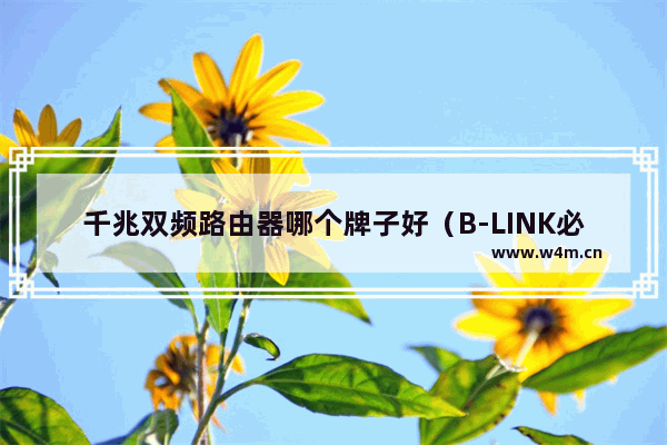 千兆双频路由器哪个牌子好（B-LINK必联AC1200U测评）