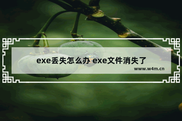 exe丢失怎么办 exe文件消失了