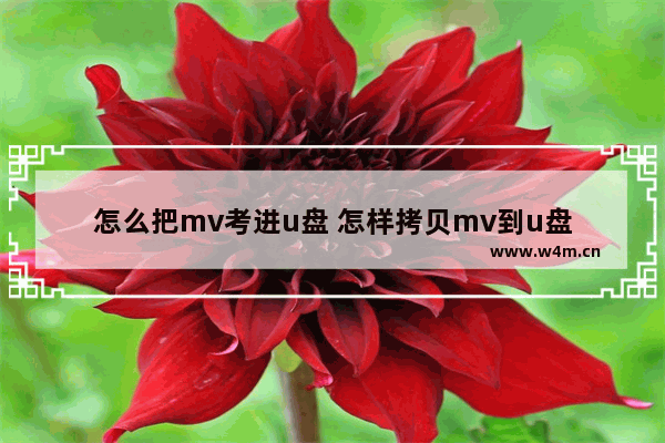 怎么把mv考进u盘 怎样拷贝mv到u盘