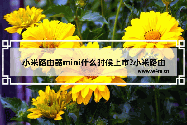 小米路由器mini什么时候上市?小米路由器mini发售时间曝光