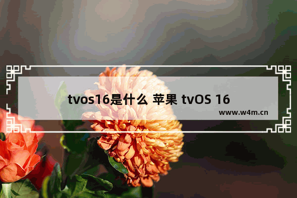 tvos16是什么 苹果 tvOS 16 正式版介绍