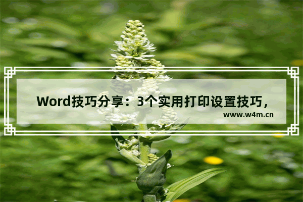 Word技巧分享：3个实用打印设置技巧，助你高效完成工作！-