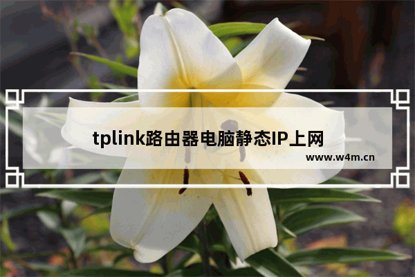 tplink路由器电脑静态IP上网