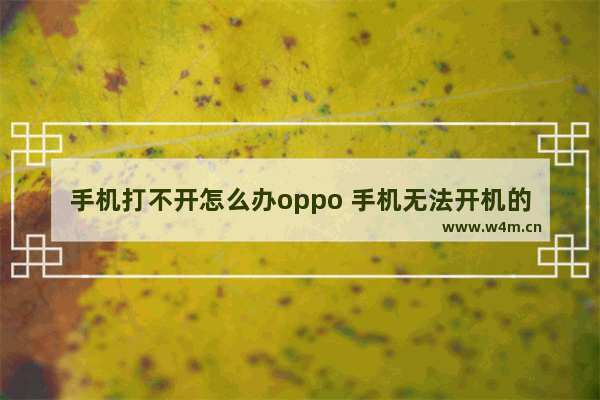 手机打不开怎么办oppo 手机无法开机的解决方法