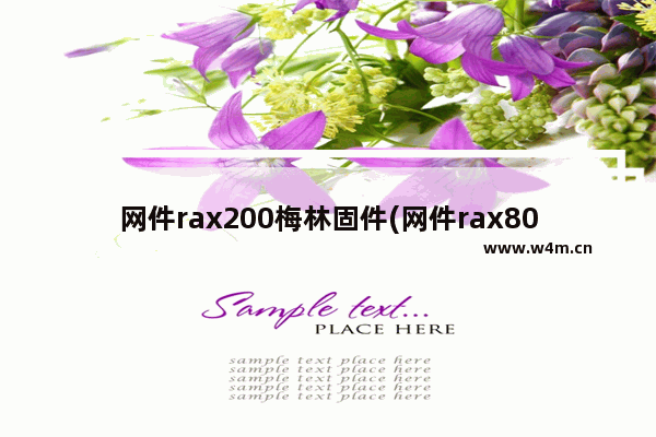 网件rax200梅林固件(网件rax80刷梅林固件)