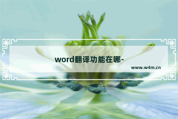 word翻译功能在哪-