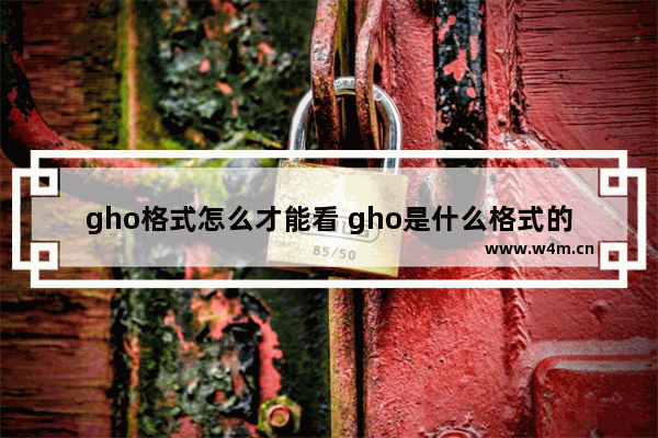 gho格式怎么才能看 gho是什么格式的文件