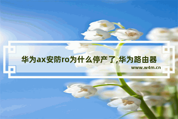 华为ax安防ro为什么停产了,华为路由器ax安防ro要不要更新插件版本