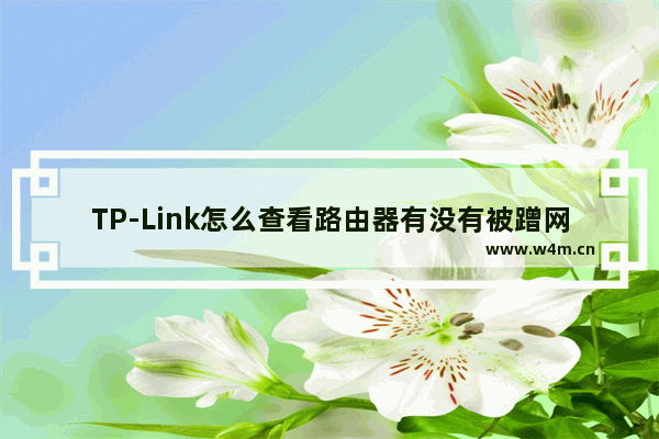 TP-Link怎么查看路由器有没有被蹭网