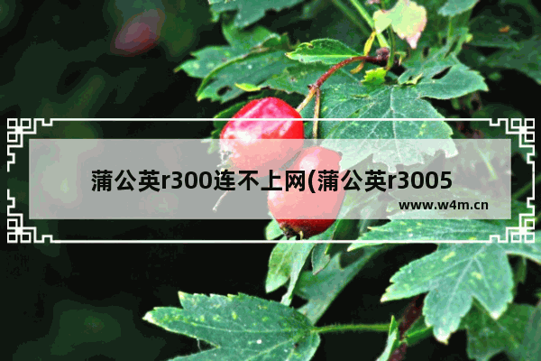 蒲公英r300连不上网(蒲公英r3005g)