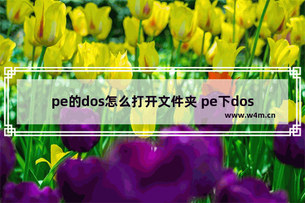 pe的dos怎么打开文件夹 pe下dos