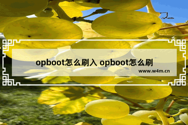 opboot怎么刷入 opboot怎么刷入固件