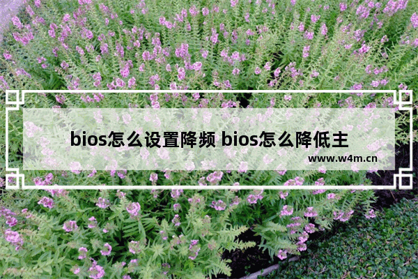 bios怎么设置降频 bios怎么降低主频