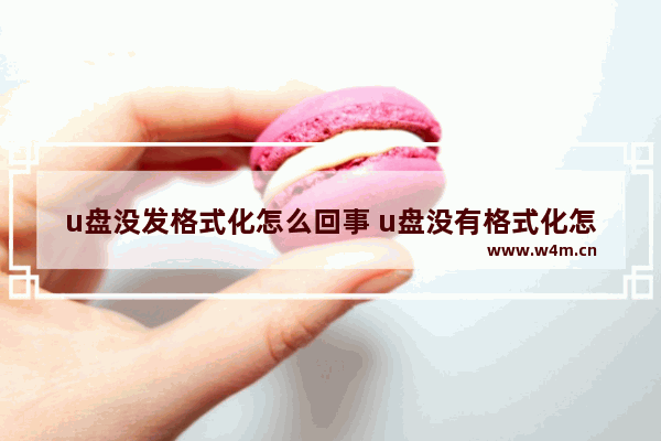 u盘没发格式化怎么回事 u盘没有格式化怎么办