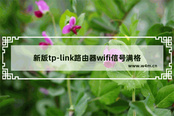 新版tp-link路由器wifi信号满格上不了网如何解决【详解】