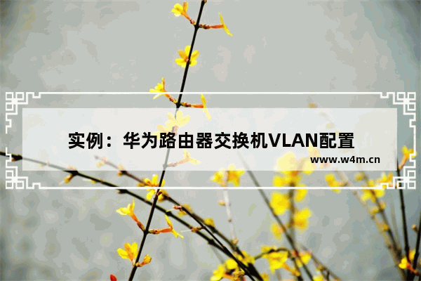 实例：华为路由器交换机VLAN配置