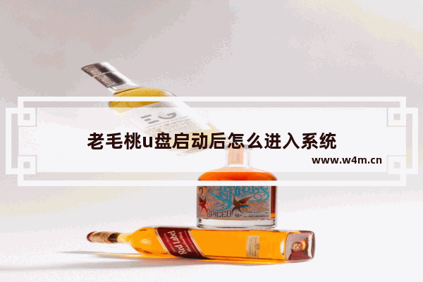 老毛桃u盘启动后怎么进入系统