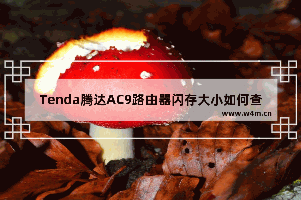 Tenda腾达AC9路由器闪存大小如何查看【方法介绍】