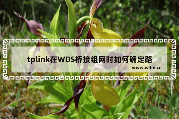 tplink在WDS桥接组网时如何确定路由器通信地址格式【介绍】