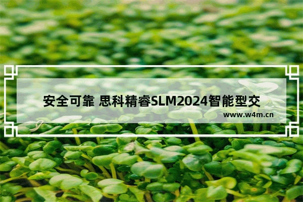 安全可靠 思科精睿SLM2024智能型交换机评测